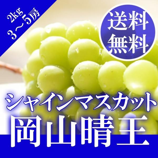 岡山県産　シャインマスカット　赤秀品 3〜4房入　約2kg 41h2XUrInUL._UF350,350_QL50_.jpg