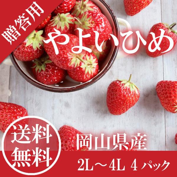 送料無料 岡山県 西大寺産 大粒 いちご やよいひめ ２l 4lサイズ 苺 土耕栽培 ホワイトデー プレゼント ギフト 贈答 Buyee Buyee Japanese Proxy Service Buy From Japan Bot Online