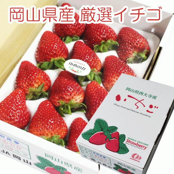 甘い苺 / 岡山県 大玉 苺 8〜15粒 イチゴ 贈答 ギフト 甘い苺 / 岡山県 大玉 苺 8〜15粒 イチゴ 贈答 ギフト