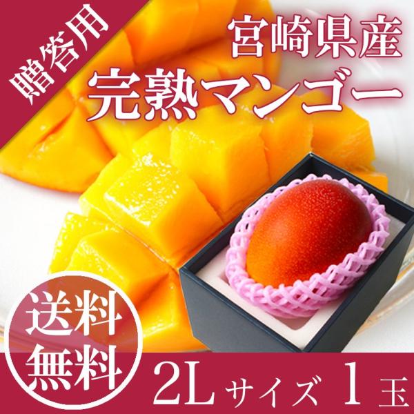 完熟 マンゴー 2L1玉 秀品 宮崎県産 贈答用 ギフト 母の日 父の日