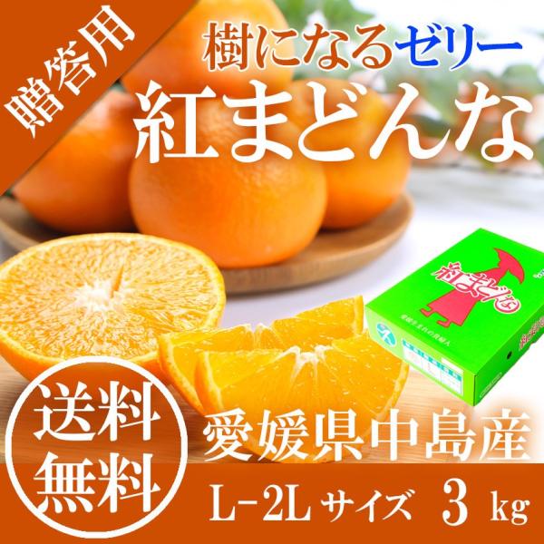 2025 Ε Mtg g܂ǂ 3kg G L`QL 12-15 Y ݂ ~J p QY Ε g}hi t[c