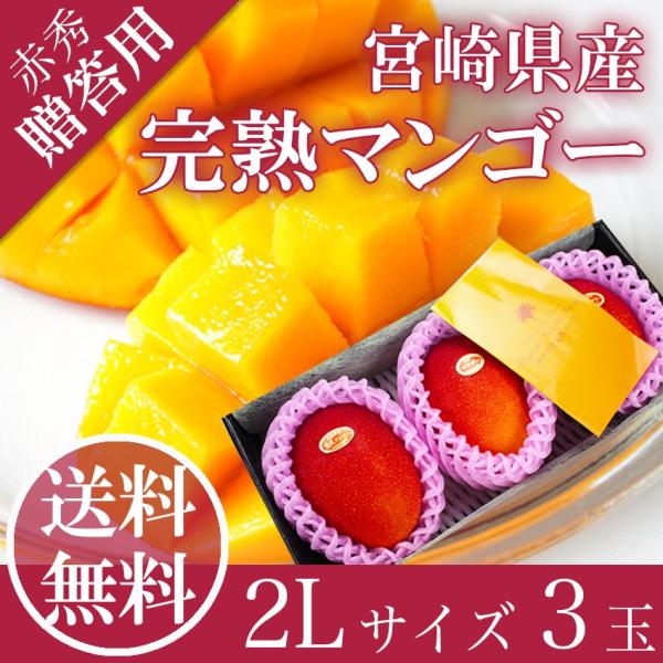 完熟 マンゴー ２L３玉 赤秀品 宮崎県産 贈答用 ギフト 母の日 父の日 御中元 プレゼント 御祝 御礼 内祝 誕生日 果物 くだもの フルーツ ４月中旬頃発送