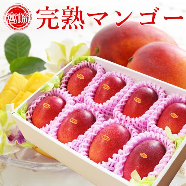 宮崎 完熟 マンゴー 2L8玉 秀品 宮崎県産 贈答用 ギフト 母の日 父の日