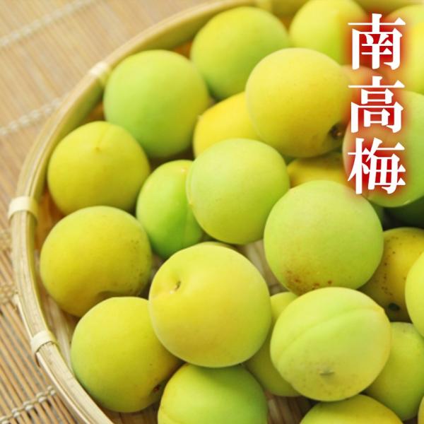 南高梅 4L 約10kg 秀品 和歌山県産 (生梅) 梅 紀州 うめぼし 梅酒 JA