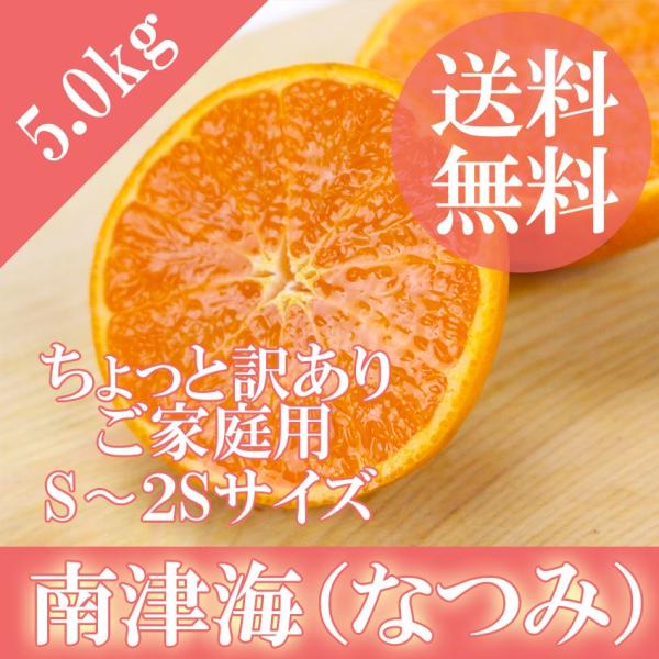 送料無料 南津海 なつみ みかん S 2sサイズ 約5kg カラマンダリン ポンカン 家庭用 産地箱入 北海道 沖縄は送料500円 岡山市場工房 Natumi5 01 岡山市場工房 通販 Yahoo ショッピング