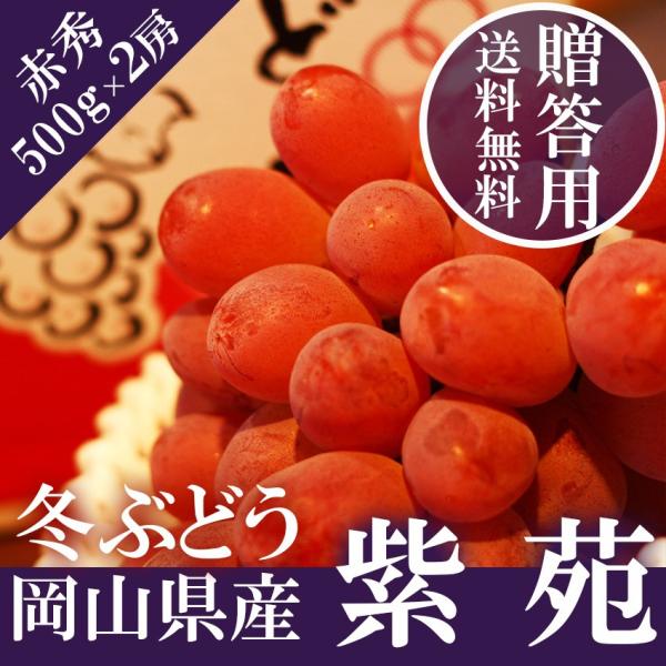 2025 Mtg RY  2[i500g×2j p Ε Ԃǂ uhE v[g  j 䋟 ʕ  t[c