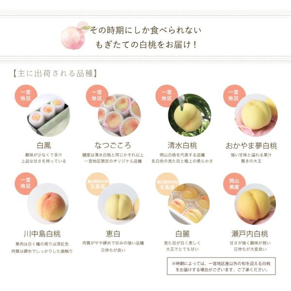 お中元清水白桃5 9玉入り約2 0kg エース送料無料家庭用御中元白桃ギフト 岡山市場工房 7月下旬から発送 Buyee Buyee 提供一站式最全面最專業現地yahoo Japan拍賣代bid代拍代購服務