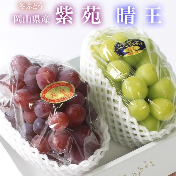 2025 Mtg RY VC}XJbg    2[i700g×2j p Ε Ԃǂ uhE v[g  j 䋟 ʕ  t[c