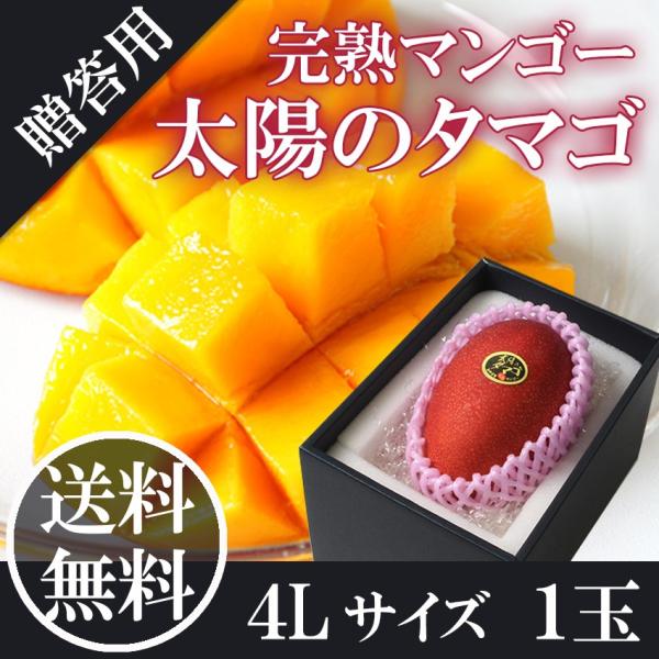 2025 ギフト 太陽のタマゴ 大玉4L1玉 510g 秀品 宮崎県 完熟