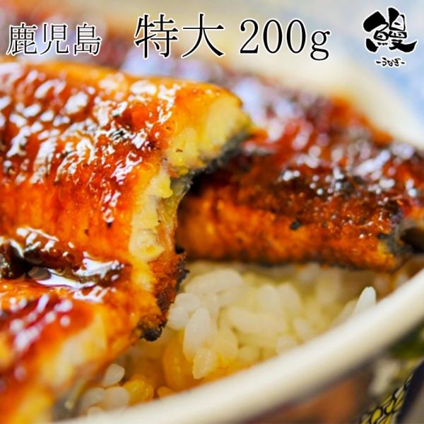 Y  Ȃ  n[tJbg100g×Siv400gj ^pbN Y p Mtg ăMtg v[g 䒆 Ε