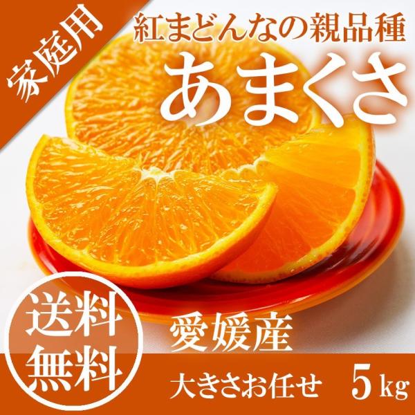 ichiba-koubou_wamakusa5-03