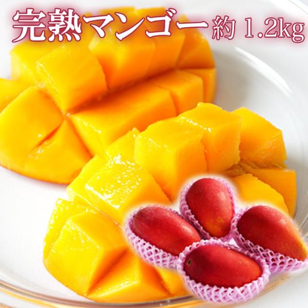訳あり マンゴー 大きさお任せ 1kg-1.2kg前後 大小混合 2-5玉