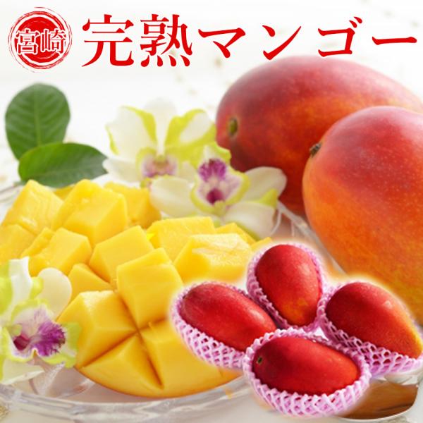 訳あり マンゴー 大きさお任せ 2kg前後4-9玉 大小混合 完熟