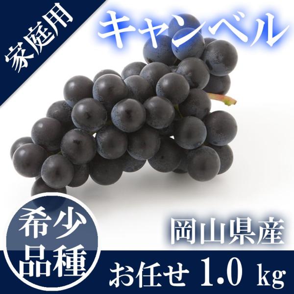ichiba-koubou_wcampbell-01