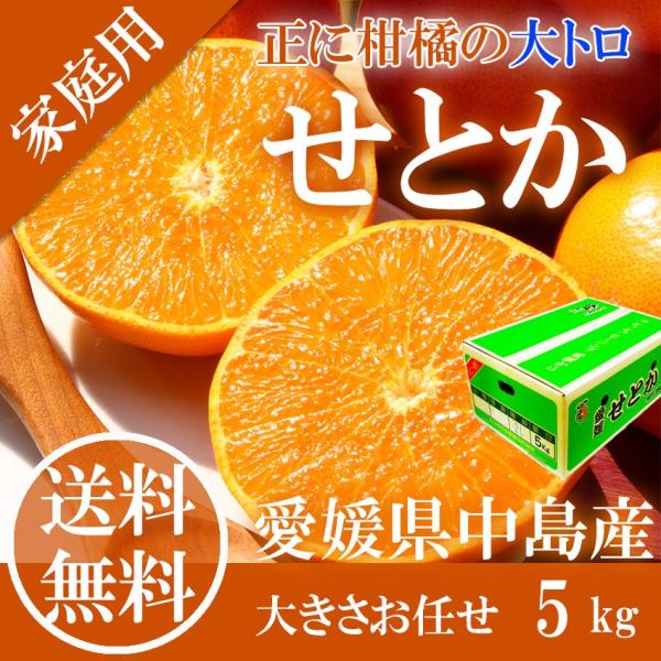 せとか ○等級 大きさお任せ 5kg 訳あり 家庭用 キズ・スレあり せとか ○等級 大きさお任せ 5kg 訳あり 家庭用 キズ・スレあり