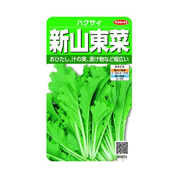 【ハクサイ】新山東菜【サカタのタネ】（10ml）白菜/サントウサイ/野菜種[春まき][秋まき]922672