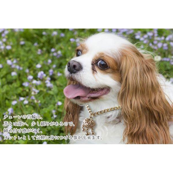 チェーン 首輪 かわいい おしゃれ ネックレス ゴージャス 迷子札 ネームタグ 名前入り チョーカー 犬用首輪 チャーム アクセサリー 代引不可 メール便 Buyee Buyee 提供一站式最全面最专业现地yahoo Japan拍卖代bid代拍代购服务 Bot Online