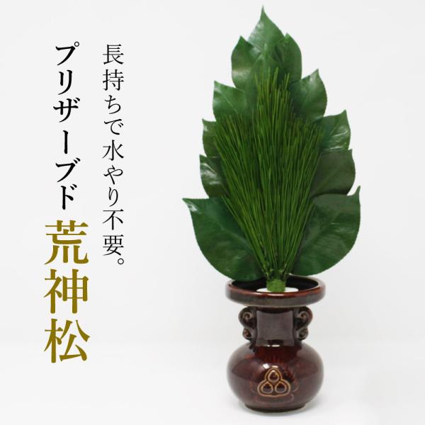 検索キーワード:荒神松 三宝松 榊 さかき サカキ 椿 松 みやこ松 葉 松 葉っぱ 神具 神棚 神前 お供え 供え物 荒神様 火の神 正月 天然素材 自然素材 国産 日本製 水やり不要 長持ちプリザーブド加工された丹波産の高級椿葉とみやこ...