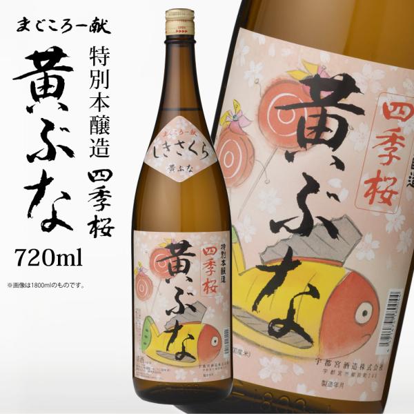 四季桜 本醸造 黄ぶな 720ml 特別本醸造酒 日本酒 お酒 本醸造酒 やや辛口 濃醇 程好い酸味 栃木宇都宮 蔵元直送 清酒 地酒 酒 ギフト プレゼント