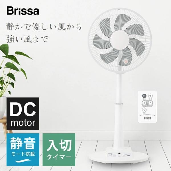 扇風機 DCモーター リビング扇風機 30cm 7枚羽根 風量8段階 静音 リモコン 入切タイマー C:NET BFDF003WH