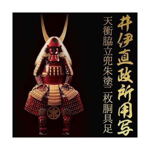 雅観甲冑 井伊直政所用 天衝脇立兜朱塗二枚胴具足 甲冑 鎧 等身大 着用可能 甲冑師による企画 作成 分割払い可 Km Arm 014 壱番館shop 通販 Yahoo ショッピング