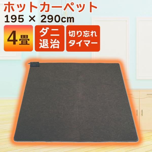 TEKNOS（テクノス） ホットカーペット 本体 4畳用 暖房面切替