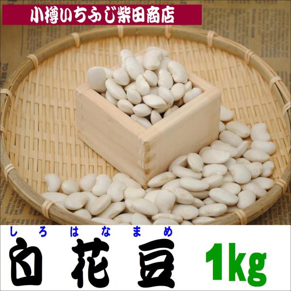 B18　1kg　白花豆　北海道産