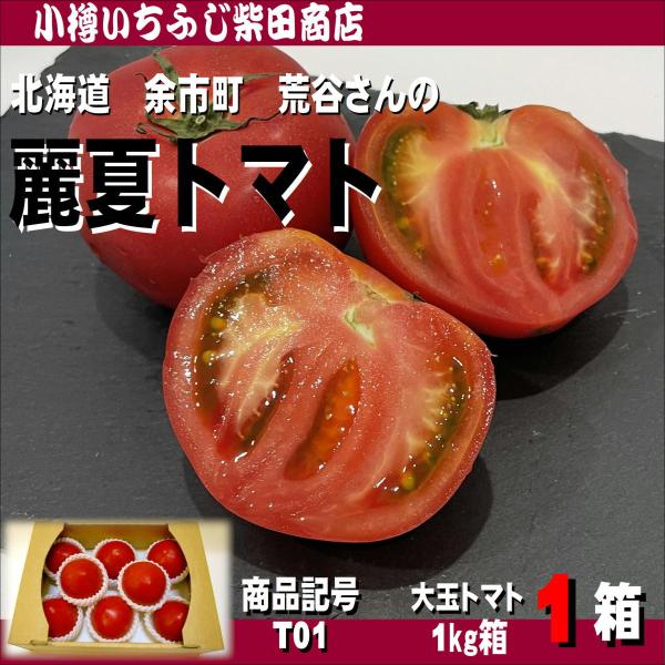 中津川の麗夏トマト 麗夏[トマト] - e-種や｜国内最大級の野菜種・花種・苗・農業