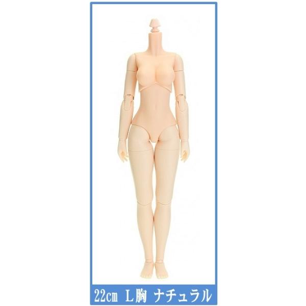 ichifuji-store_22bd-f01n-l
