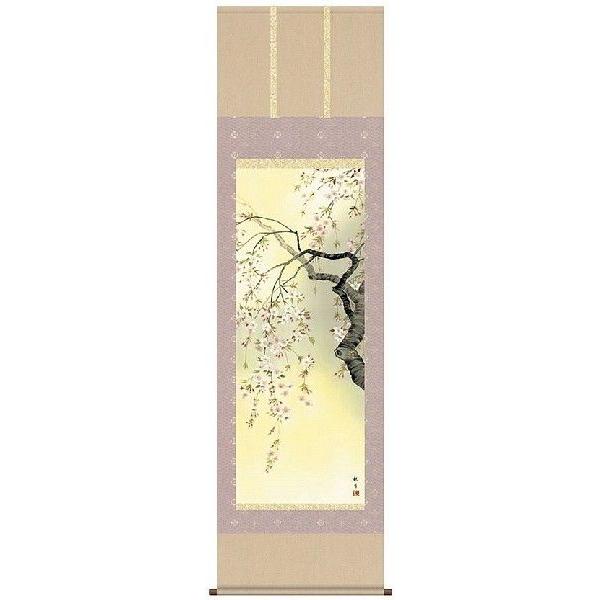 掛け軸 掛軸 花鳥画 桜花爛漫 森山観月 尺五 A6-09A : いち藤 - 通販