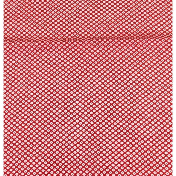 ߂ Ԍn 2005   ̎q  ߂ k n ͂ Jbg