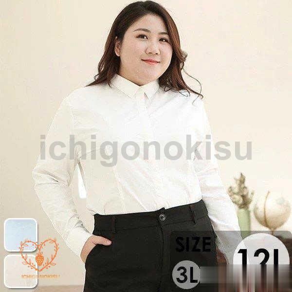 レディース　スーツ　ワイシャツ　ブラウス　まとめ売り KOEISTORE 襟 フリル ブラウス シャツ レディース ワイシャツ Y