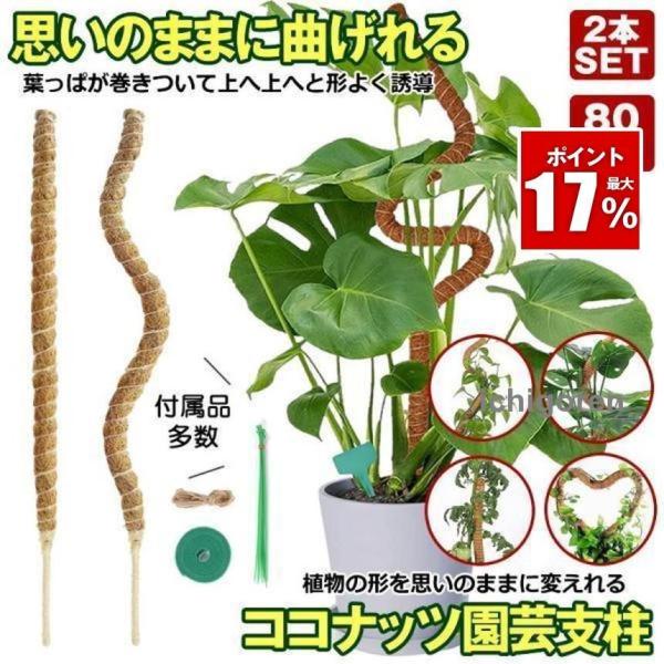 曲げられる ココスティック 80cm 2本 セット ココナッツ支柱 モンステラ支柱 観葉植物 モンステラ 支柱 園芸支柱 植物 ガーデニング用 モスポール 園芸用品