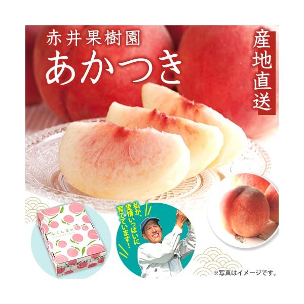 【約5kg 12〜16玉】産地直送 赤井果樹園 ＜あかつき＞ A-1　伊達市保原町産もも ふくしまの桃 全国一律送料込 ※同梱注文不可 ※同梱注文不可