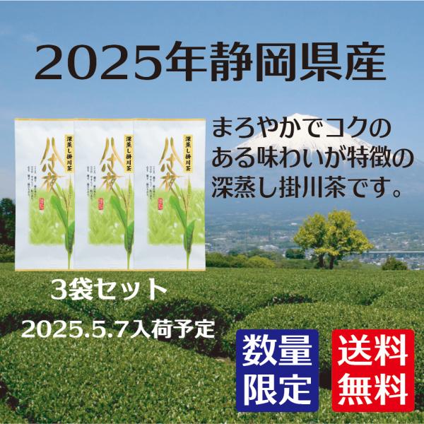 新茶 深むし 掛川茶 八十八夜 100g 3袋セット 静岡県産 深蒸し茶 2025