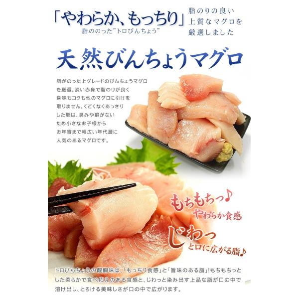 トロびんちょうマグロ500g 解凍レシピ付 マグロ刺身 Pbt Al1 Bn1 Yd9 大トロびんちょう500g Buyee Buyee 提供一站式最全面最专业现地yahoo Japan拍卖代bid代拍代购服务 Bot Online