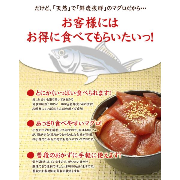 天然マグロ赤身800g 送料無料 解凍レシピ付 マグロ刺身 Pbt Yf1 Yf1 Yd5 キハダ赤身800g Buyee 日本代购平台 产品购物网站大全 Buyee一站式代购 Bot Online