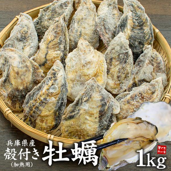賞味期限短め(2026.10.31)のため在庫処分 兵庫県産 殻付き牡蠣 加熱用1kg(10〜16個入) 簡単レシピ付き 送料無料 [[殻付き牡蠣1kg]