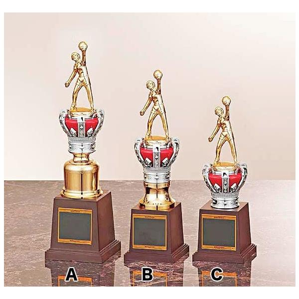 o[{[gtB[io[j y{̃TCYCz  AS-T-346-VOLLEYBALL-C