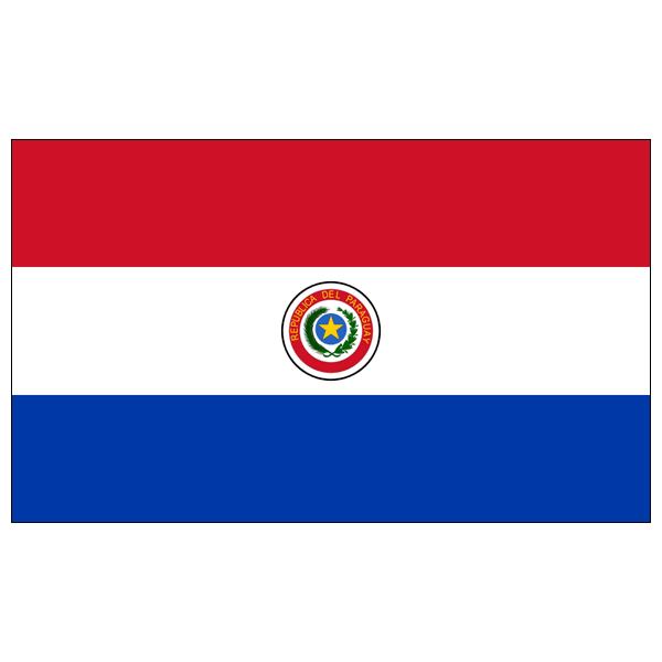 希少 大人気 国旗 パラグアイ共和国 90 135cm 送料無料 各公式行事でも使用されている日本製の手作り国旗 訳ありセール格安