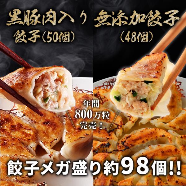 黒豚肉入り餃子＆無添加餃子 1.8キロ 一龍堂 餃子 ぎょうざ ギョウザ  ギョーザ  生餃子  冷凍餃子 冷凍生餃子 冷凍食品  送料無料