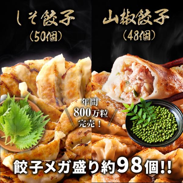 しそ餃子＆山椒餃子セット 一龍堂 餃子 ぎょうざ ギョウザ ギョーザ 約98個 冷凍 生餃子 冷凍食品 冷凍餃子 送料無料