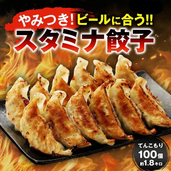 スタミナ餃子100個 一龍堂 餃子 生餃子 ぎょうざ ギョウザ ギョーザ  冷凍餃子 パンチのある風味づくり  生姜 ニンニク にんにく風味強め   冷凍食品