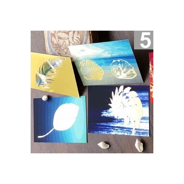 葉っぱ カード グリーティングカードの人気商品 通販 価格比較 価格 Com