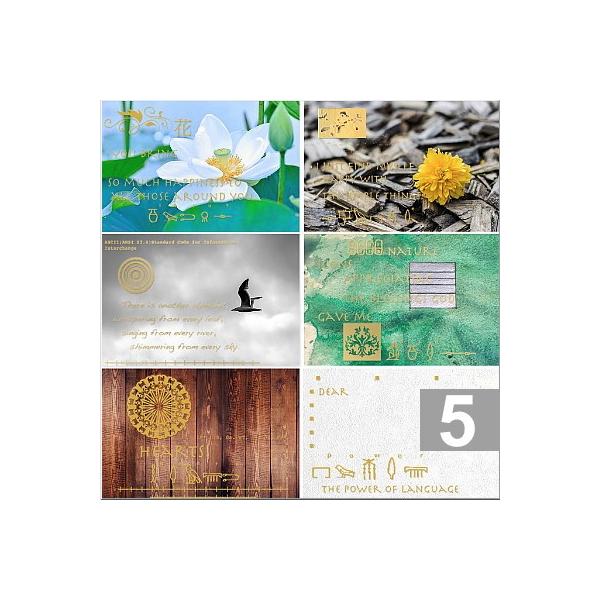 R̕ЋA ʃbZ[WJ[h qGOt NtgV[t 5Zbg GLICA