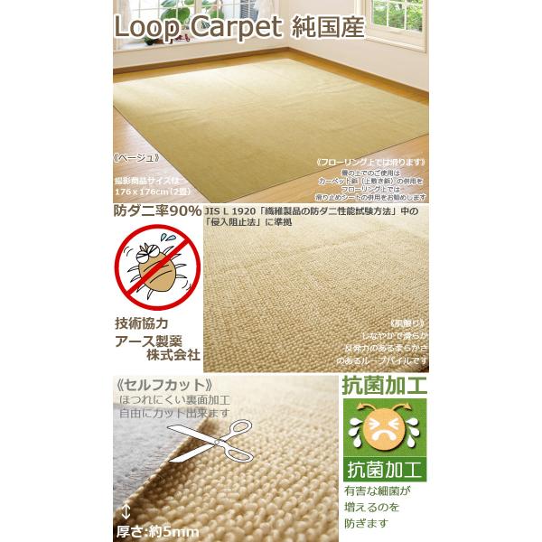 カーペット 4 5畳 四畳半 江戸間 ループs江戸間 ホットカーペット対応 261 261cm 抗菌 防ダニ 国産 無地 5サイズ規格 送料無料 北海道 九州 沖縄を除く Buyee Buyee Japanese Proxy Service Buy From Japan Bot Online