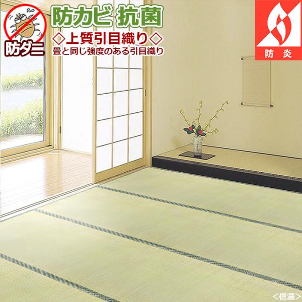 い草 上敷き ござ カーペット 四畳半 4 5畳 信濃 本間 286 286cm 5サイズ規格 送料