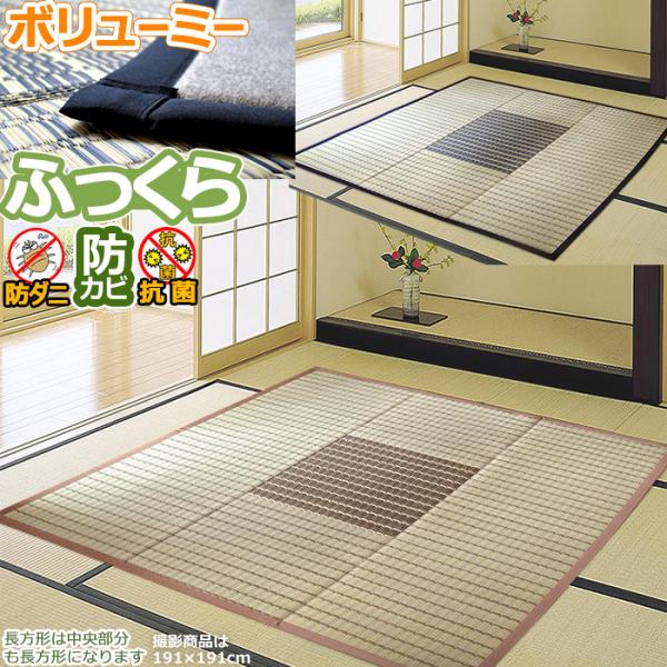 い草 ラグ ミニ4.5畳 230×230cm オールシーズン 防ダニ 防カビ クール 抗菌 ボリューム ふっくら 涼しい 5サイズ規格 四畳半 本州・四国は送料無料 / 雫 /
