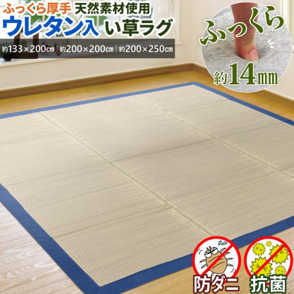 い草ラグ 広幅 3畳 200×250cm 厚手 ウレタン入り 裏付き ラグ マット い草カーペット 長方形 ホットカーペット / Ts桃山