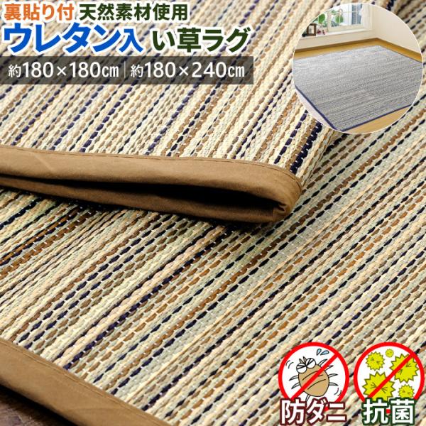 い草ラグ 約 3畳 180×240cm ウレタン入り 裏付き おしゃれ ラグ マット い草カーペット ござ 長方形 ホットカーペット / Tsライン